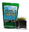Pearl's Premium Ultra Low Maintenance Lawn Seed - Shady Blend - 5 Pound 